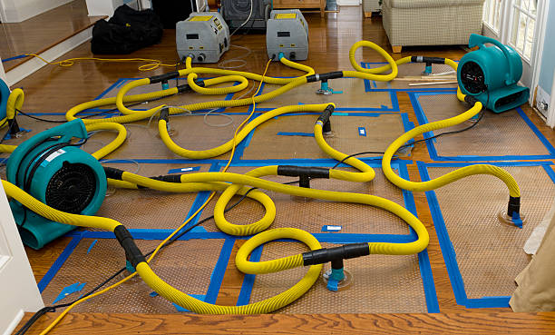 Professional Storm Water Damage Restoration technician working in Verdunville, WV